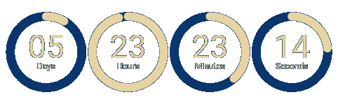 Stock Doctor Christmas countdown