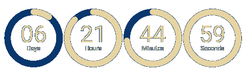 Stock Doctor Christmas countdown